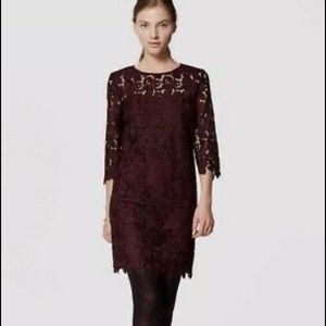 NWT Loft Floral lace shift dress